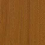 Шогун AF 0049198.jpg